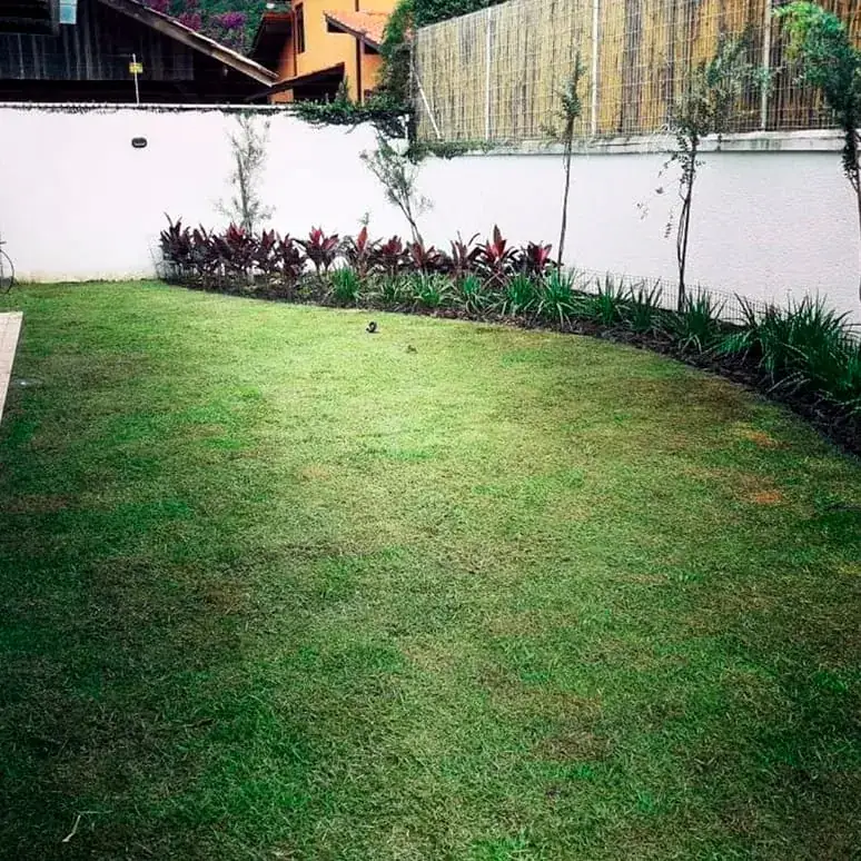 Gramado plantado com canteiro de folhagens ao fundo